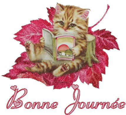 "Bonjour / Bonsoir" !!! - Page 2 Bb7nu811