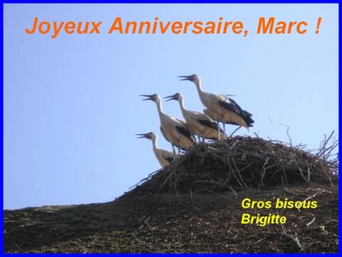 Joyeux Anniversaire Marc Joyeux Anniversaire Marc