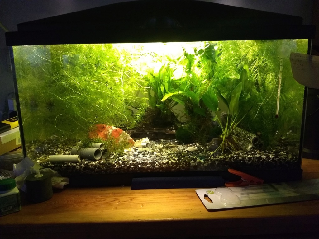 Mon 60L Aquari10