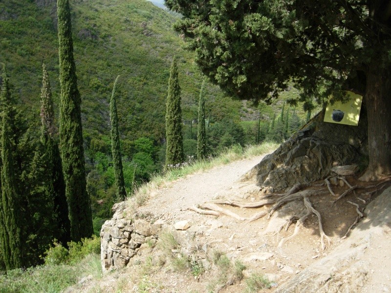 PHOTOS de BALADE- route des chateaux cathares du 1 er Mai 2011 Dscn2711