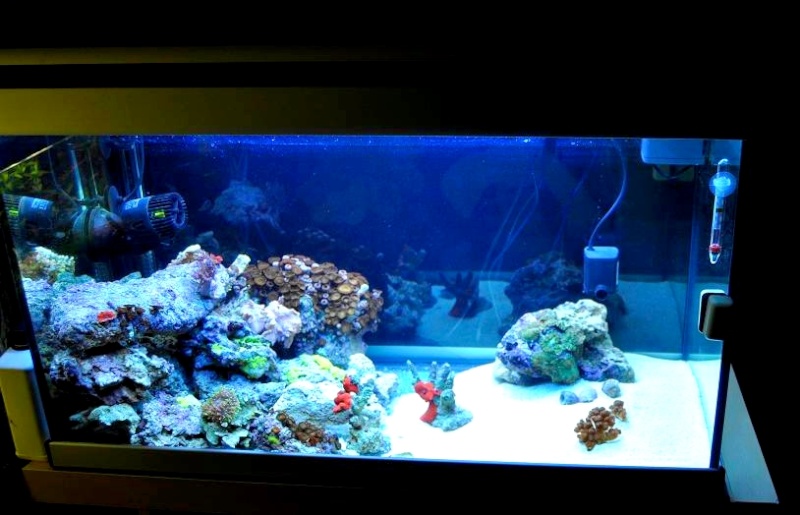 Après le 20L -> 150L Récifal Aqua10