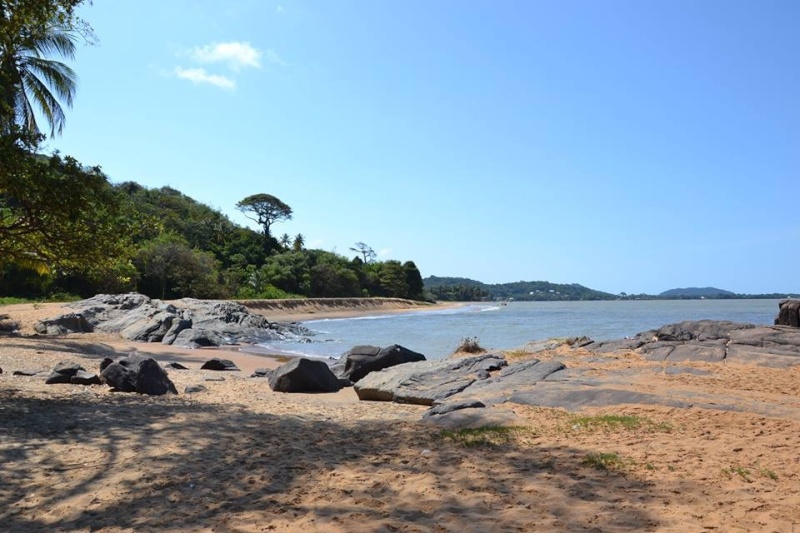 Trip Guyane du 16 au 31 Octobre  Image13