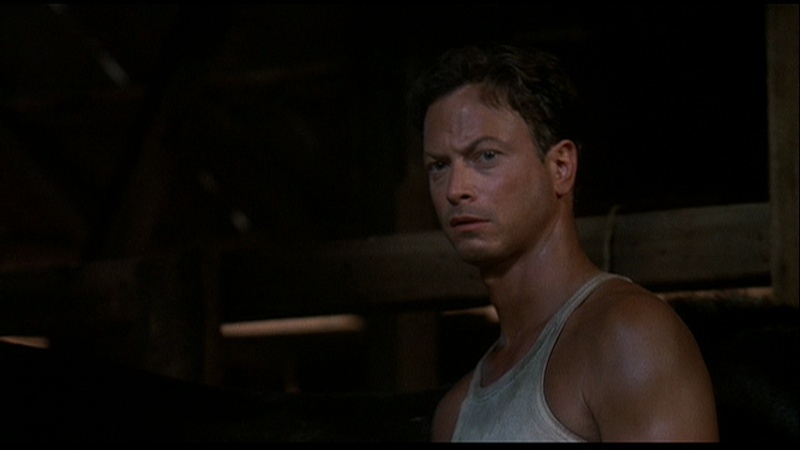 Gary Sinise - Page 16 Vlcsna33