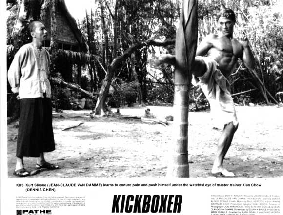 Kickboxer.     53584910