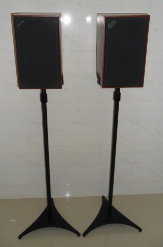 Acoustic Energy Ae 100 Speaker  ( Sold ) Sam_1329