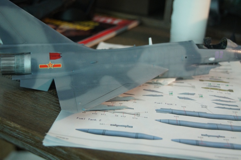 [Bronco Models] 1/48 - PLAAF J-10 "Vigorous dragon" Chinese fighter  - Page 2 Dsc02227