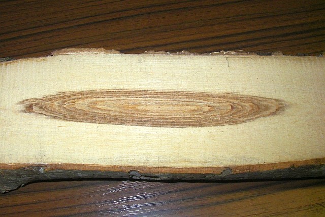 stylo Judye10
