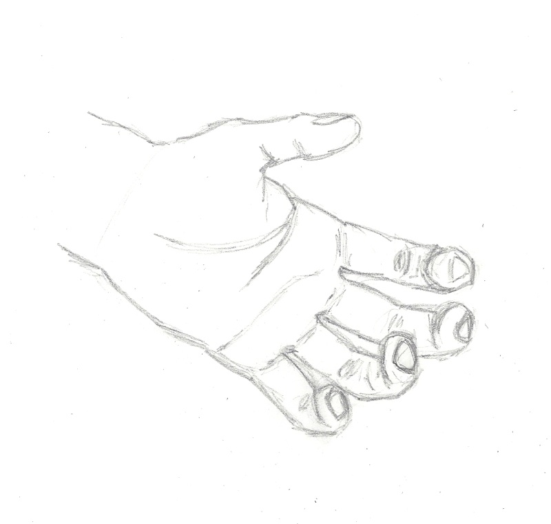 Dessins de mains - exercice 0 - dessins témoins Numari16