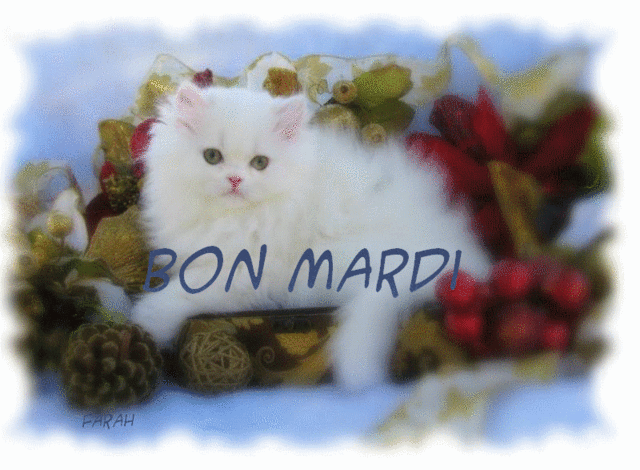 bonjour,bonsoir du mois de septembre - Page 6 3d321d10