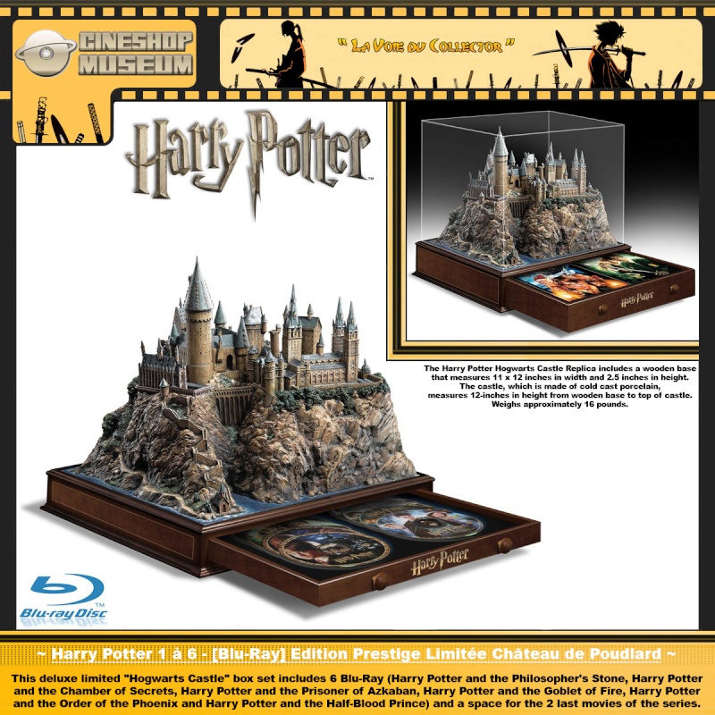 Harry Potter 1 à 6 - Edition Prestige Limitée Château de Poudlard [6 Blu-Ray] Fbrfam10