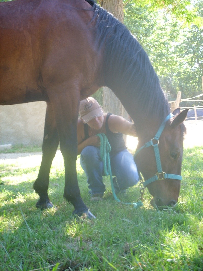 Centre equestre western "LA PALOUSE" st Cyprien Ss851517