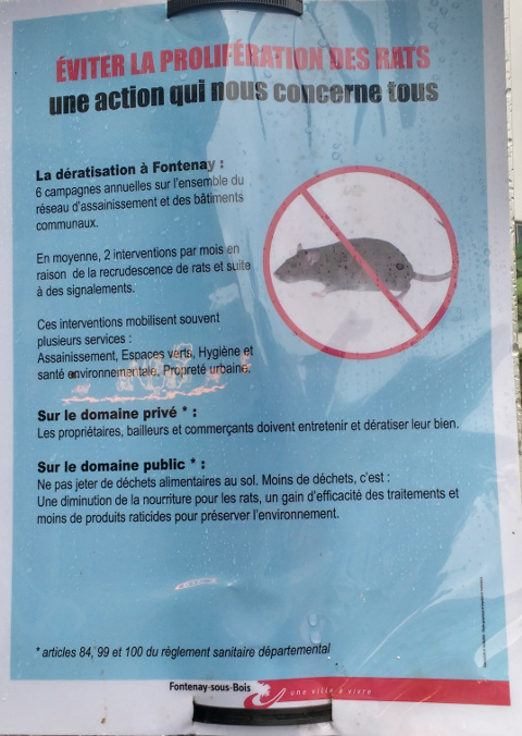 Rats dans Fontenay Img_2019