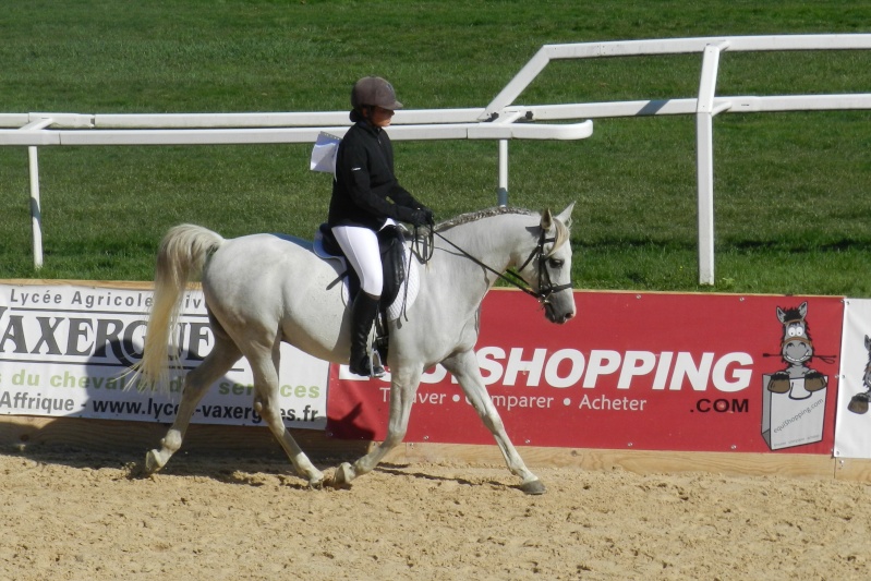 [2015] Salont Cheval Roi a Toulouse Dscn9129