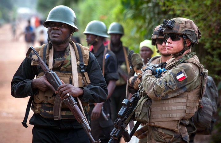 Intervention militaire en Centrafrique - Opération Sangaris - Page 19 11136