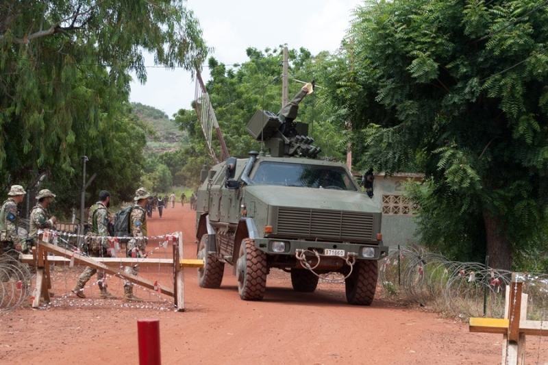 Intervention militaire au Mali - Opération Serval - Page 7 1853