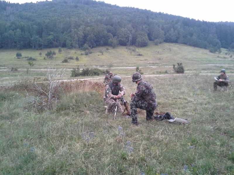 Slovenian Armed Forces / Slovenska vojska - Page 2 320