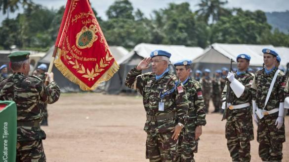 Intervention militaire en Centrafrique - Opération Sangaris - Page 17 463