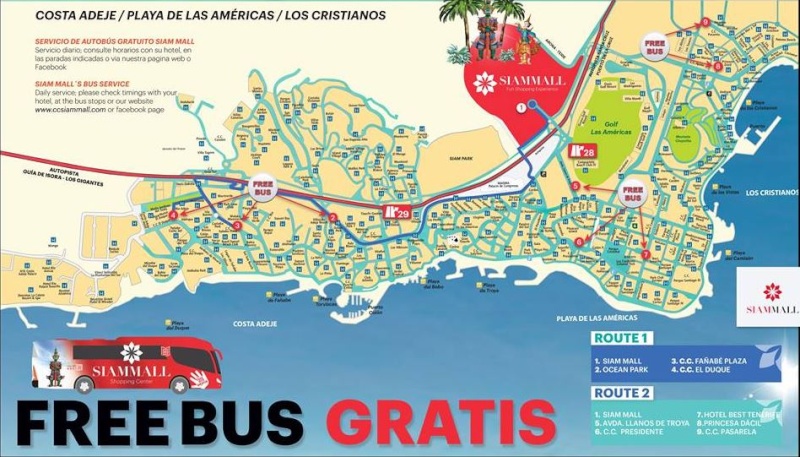 BUSES Captur32