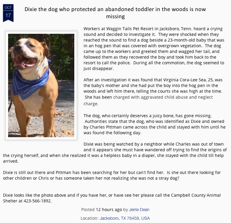 Those incredibly 'unreliable' DOGS............again! - Page 2 Dixie_10