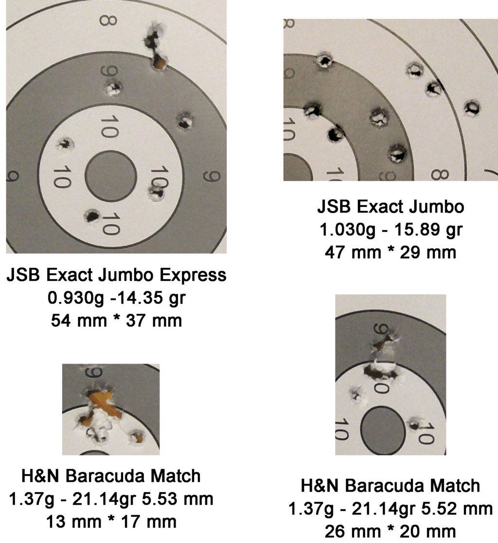 HW97 - HW97 en 5.5mm quels plombs ? Test_p11