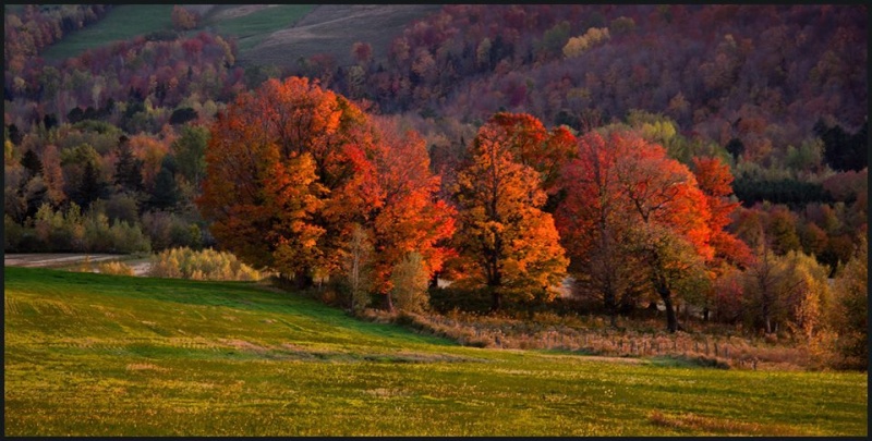 un petit coin d'automne... - Page 2 12106810