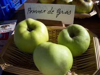 Diverses variétés de pommes à couteau; Photo104