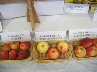 Diverses variétés de pommes à couteau; - Page 3 Photo404