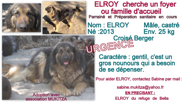 ELROY, M-X berger, Né 2013, Splendide et gentil (BELLA) - En FA chez Corinne91 (départ91) Fiche_25