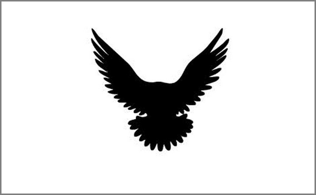 [Cryptozoologie - Oiseaux inconnus] Thunderbird ou Oiseau-Tonnerre (Amérique du Nord) Sans_t10