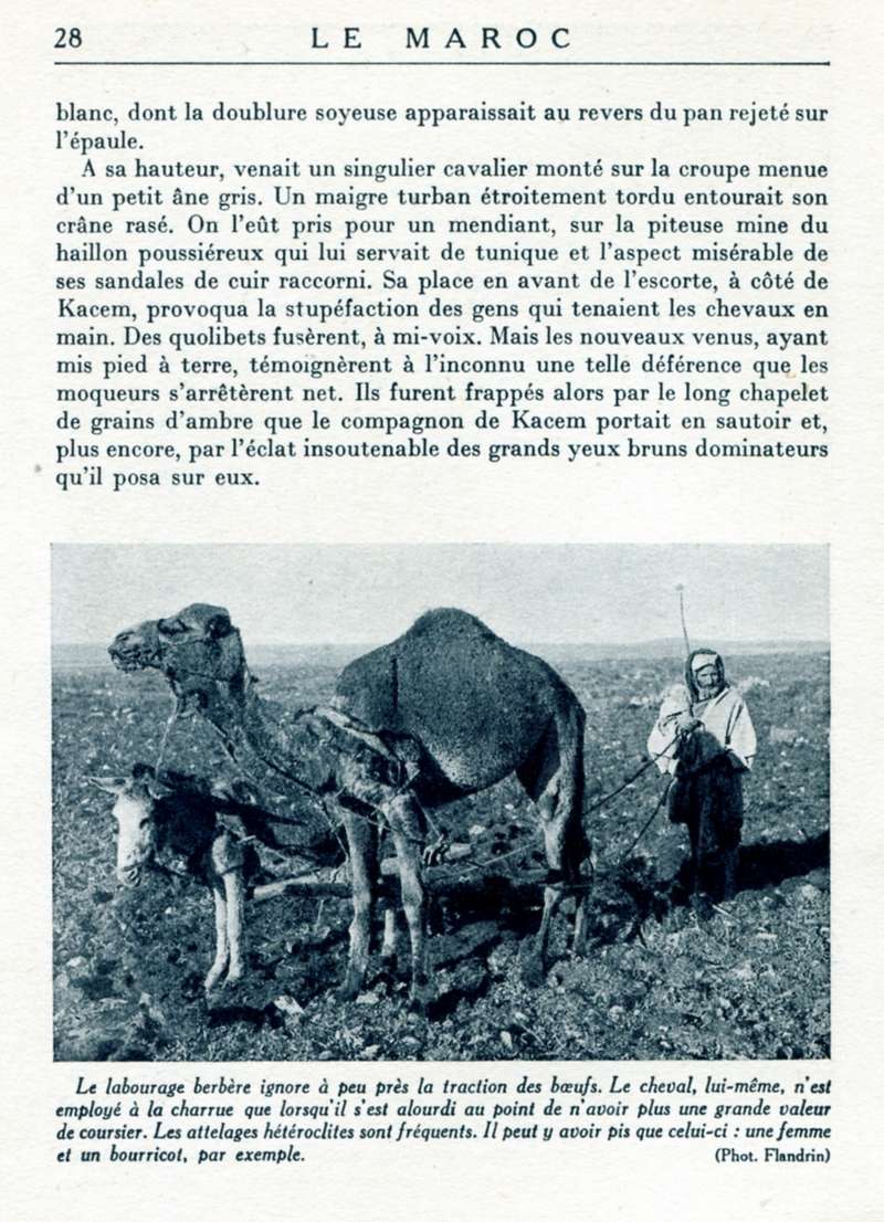 LE MAROC, R. Thomasset. - Page 2 20-le_10