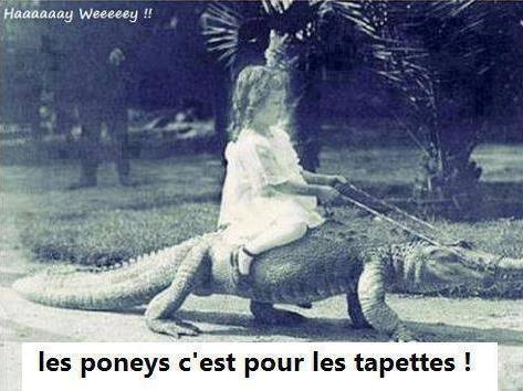 Humour en image du Forum Passion-Harley  ... - Page 33 74755710