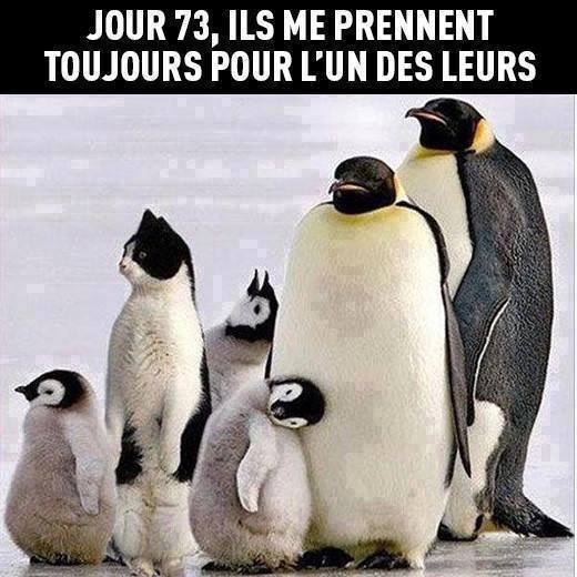 Humour en image du Forum Passion-Harley  ... - Page 4 90318110