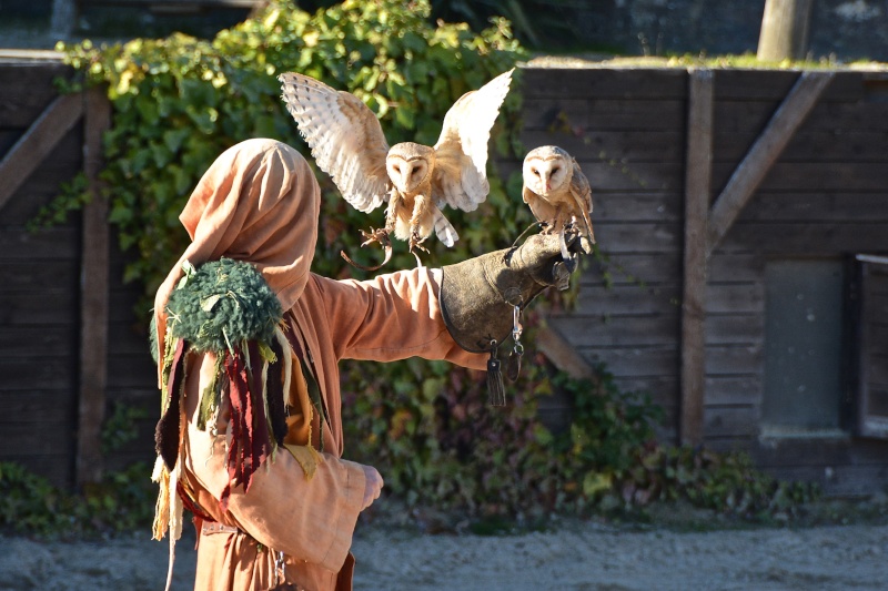 Balade du CLUB à TROYES 31 octobre et 1 Novembre 2015. Dsc_4910