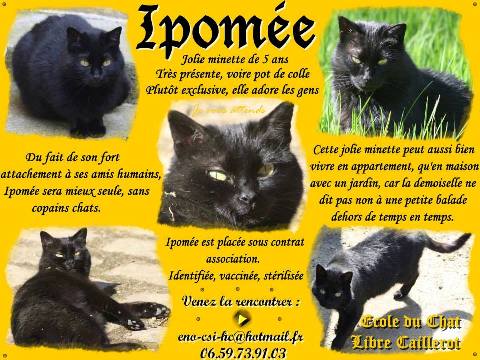 IPOMEE 6 ANS  Ipomee10