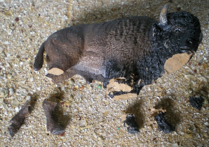 Bemalungen, Umbauten, Modellierungen - neue Tiere für meine Dioramen 199a_s10