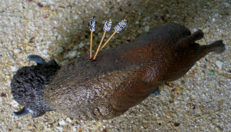 Bemalungen, Umbauten, Modellierungen - neue Tiere für meine Dioramen 199f2a10