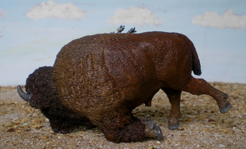 Bemalungen, Umbauten, Modellierungen - neue Tiere für meine Dioramen 199f2b10