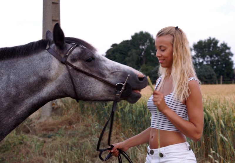 (Dept 15) Lucky (ex Beny), SF x Apaloosa et Camille (Oléron) (Déc 2011) - Page 3 Pict2112