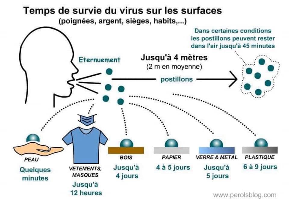 Pour info... Virus12