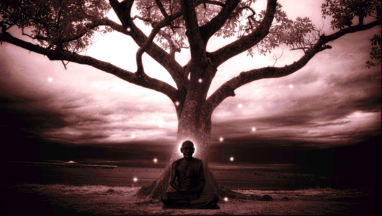 Méditer avec un arbre Medita10