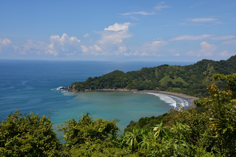 Les palathéo au Costa Rica Dsc_7610