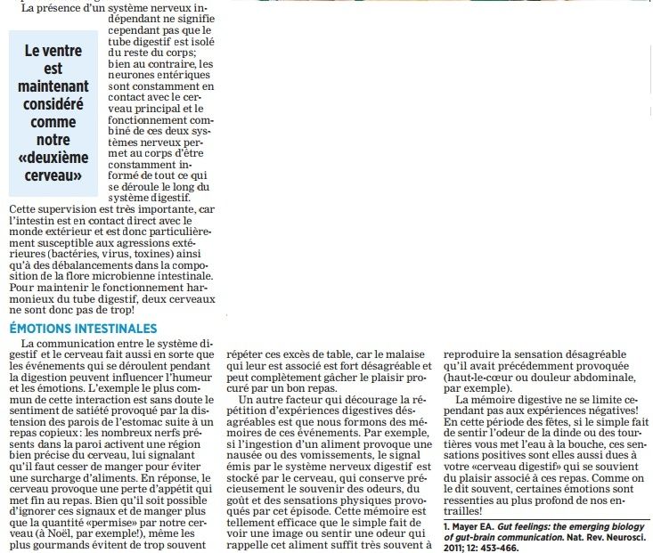 Le ventre, notre deuxième cerveau Cervea10