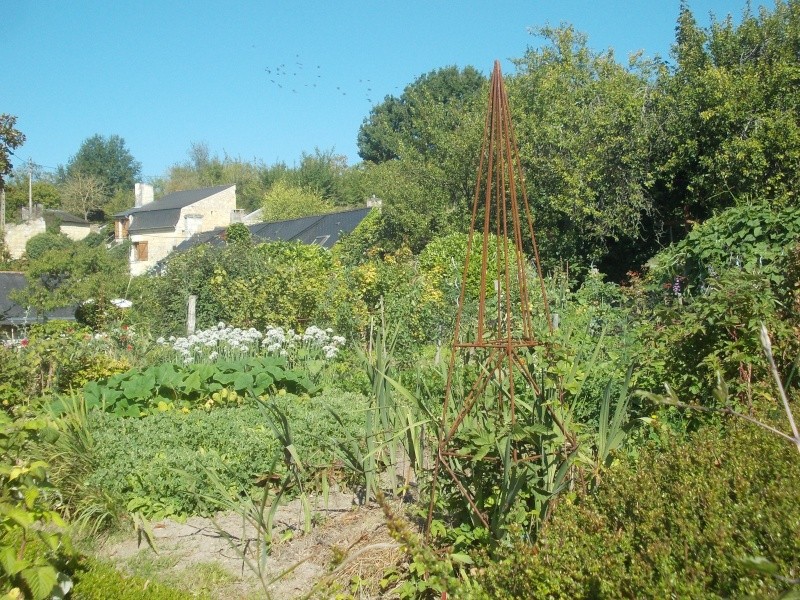 Le jardin d'Anita  Dscn6916