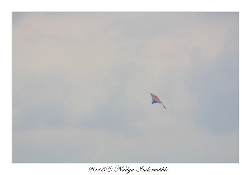 Fort Mahon Plage Cadre207