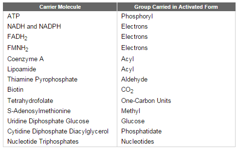 Glycolysis Carrie10