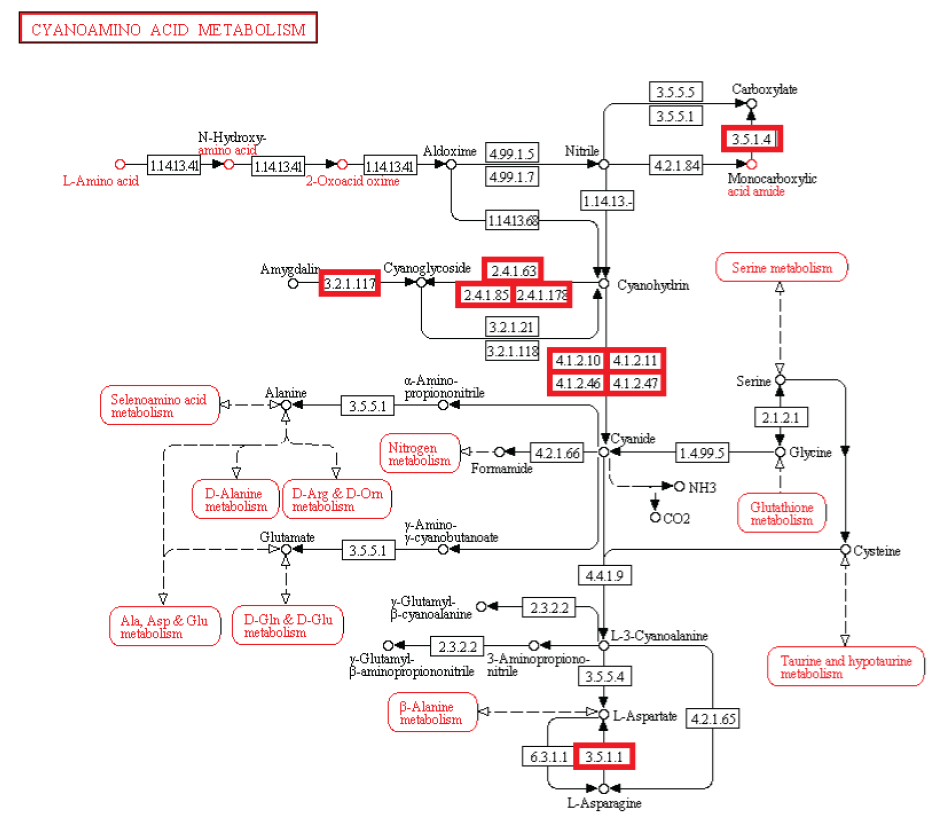 How Cellular Enzymatic and Metabolic networks point to design Cyanoa10