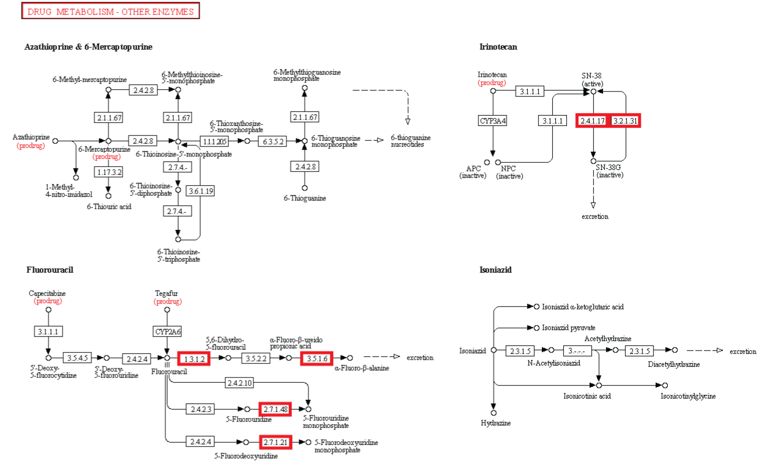 How Cellular Enzymatic and Metabolic networks point to design Drug_m10