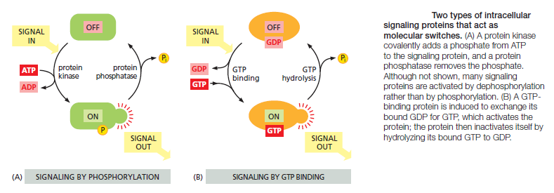 Cell Communication and signaling, evidence of design Intrac11