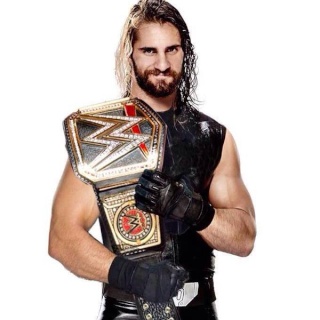 Qui de Sting ou Rollins a remporté le titre World Heavyweight Champion ? [Spoiler Night Of Champions 2015] Seth-r10