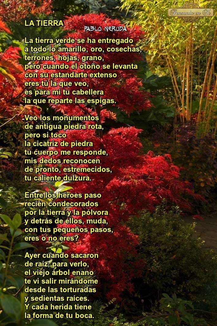 Poema La Tierra Pablo Neruda de los Versos del capitán Dvybvx10